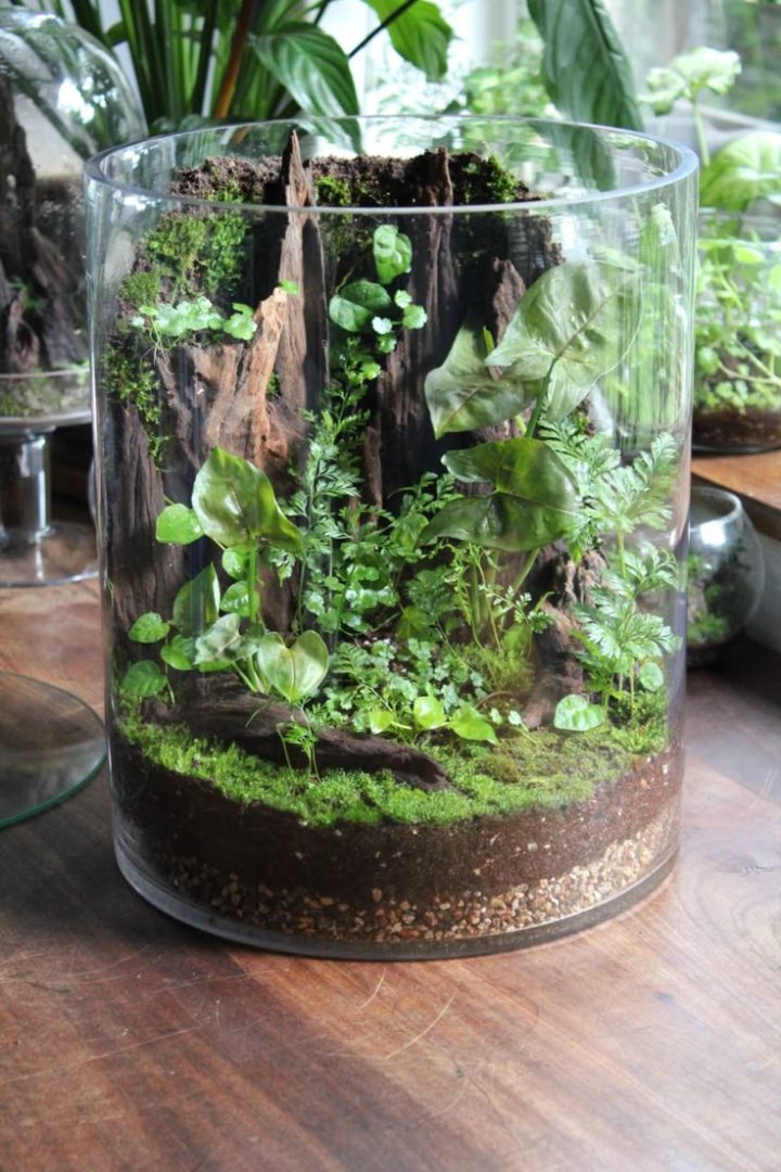 Open Hand Curated Terrarium , Bio Centric Design is South Africa's Best Luxury Deco Art, Incoporated With Healing Plants and Crystal Technology, South Africa, Eco Luxury Design